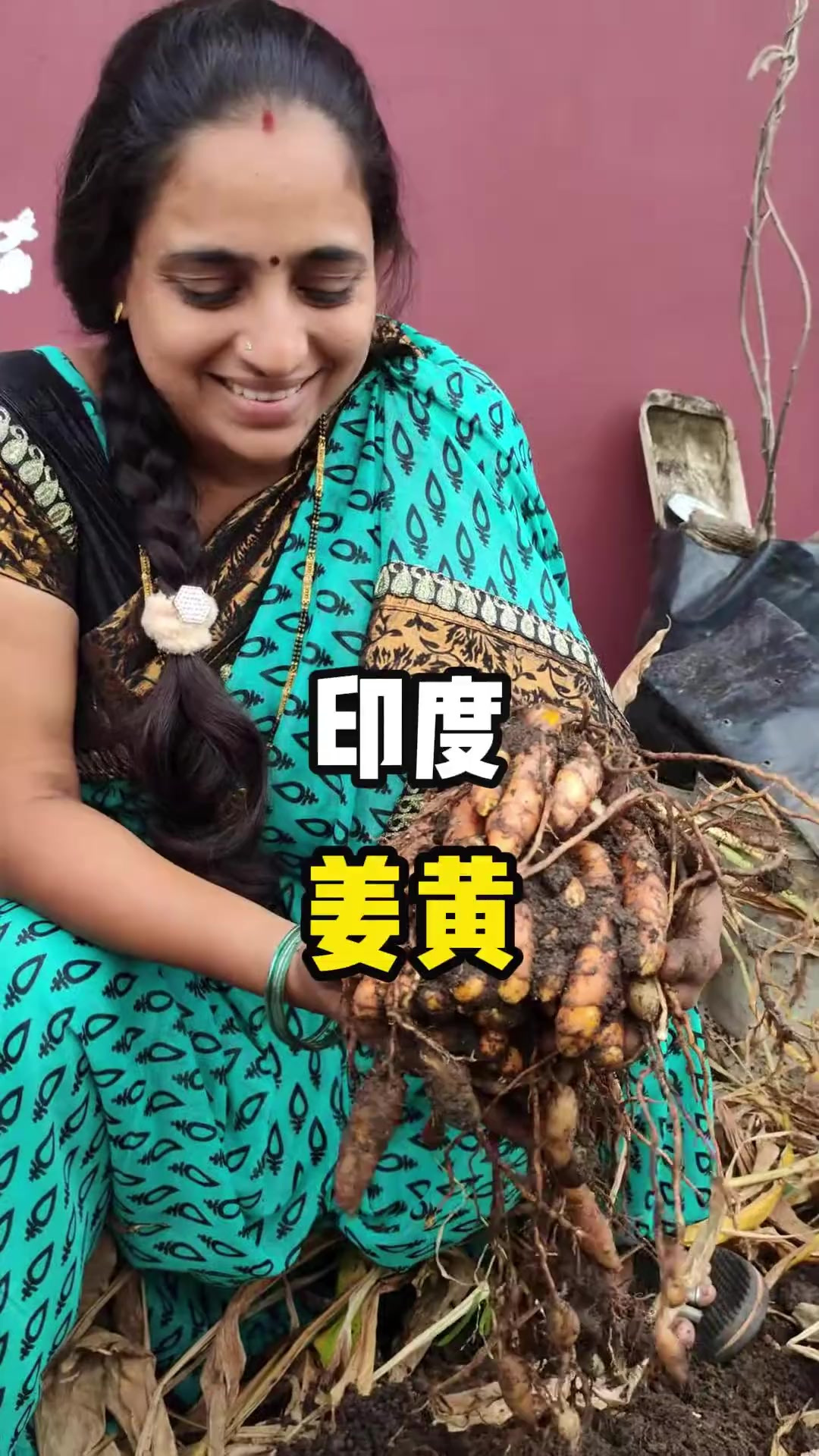 姜黄是印度人制作咖喱的主要原材料之一！