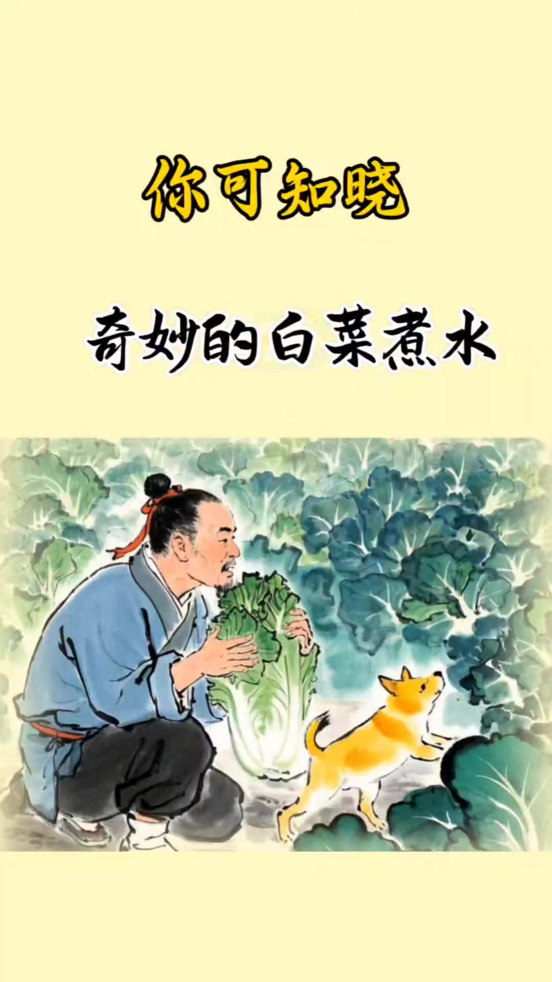 白菜煮水有多厉害？