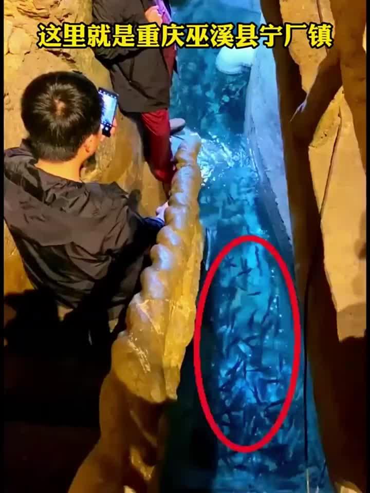 重庆巫溪“神奇鱼泉”,一个梦改变了一家人