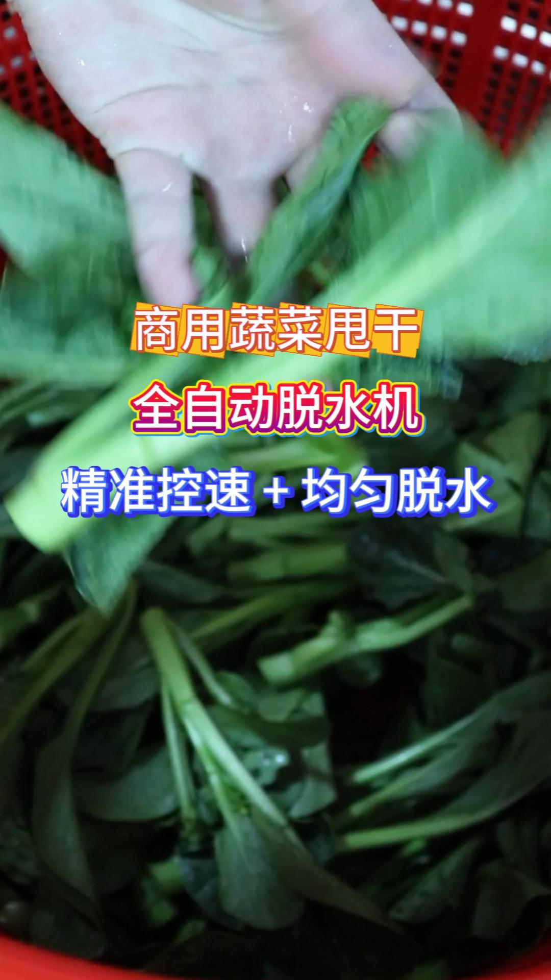 旭众大型蔬菜脱水生产线 自动进出料 省人工降本首选