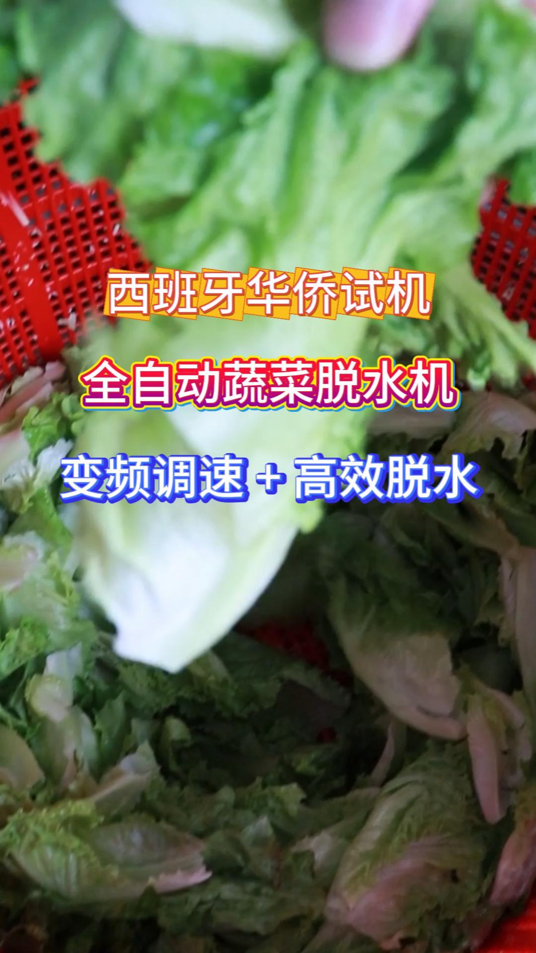 旭众全自动变频脱水机 无级调速控干度 果蔬脱水零损伤