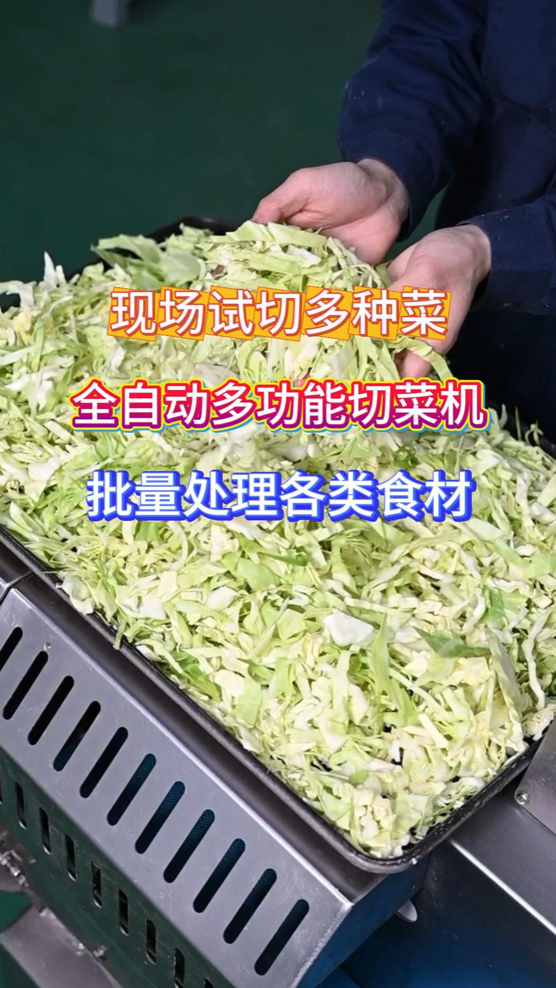 商用全自动多功能切菜机 切丝切片切丁 食堂门店专