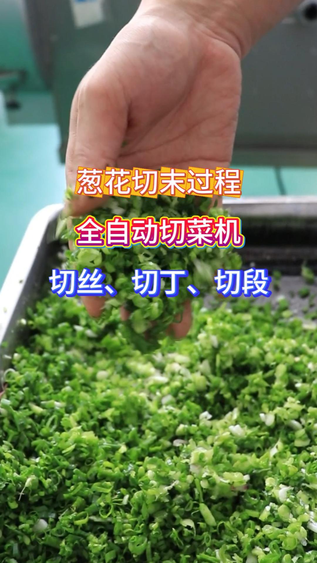 商用全自动多功能切菜机 食堂餐厅后厨切配机