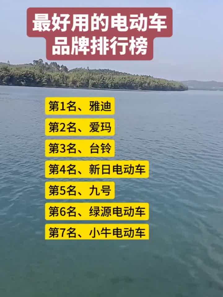 最好用的电动车 品牌排行榜