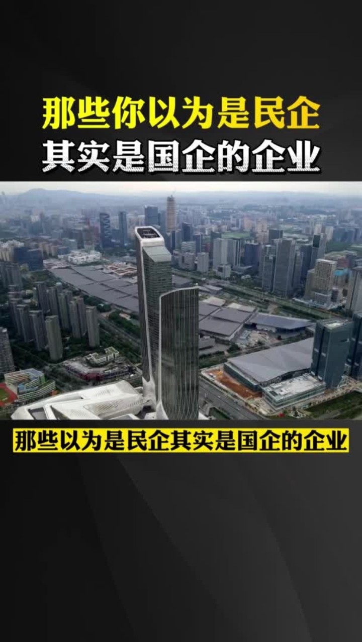 那些你以为是民企其实是国企的企业