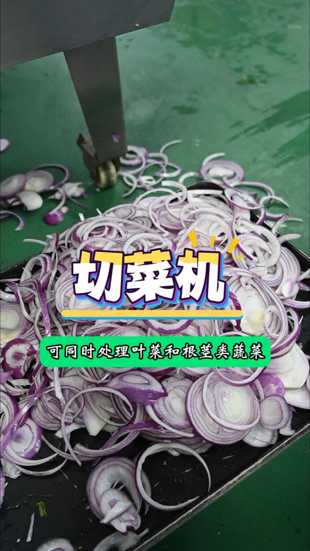 可同时处理叶菜和根茎类蔬菜