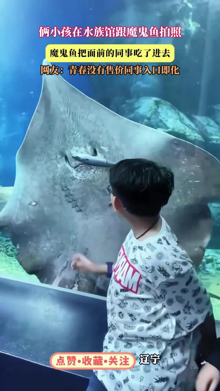 俩小孩在水族馆跟魔鬼鱼拍照，魔鬼鱼把面前的同事吃了进去，网友：青春没有售价同事入