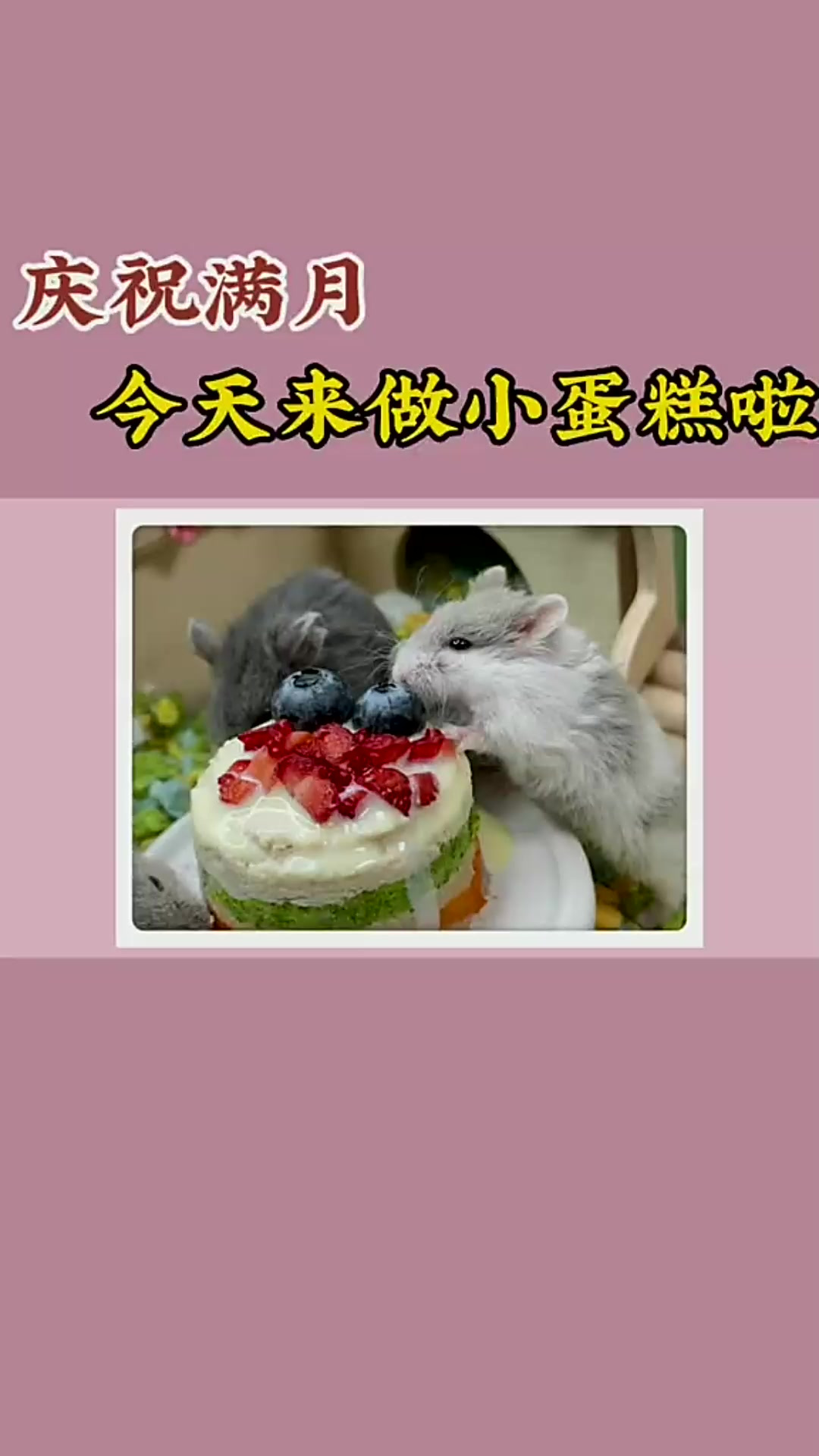 为了庆祝小团子们满月,今天来做仓鼠版小蛋糕吧!