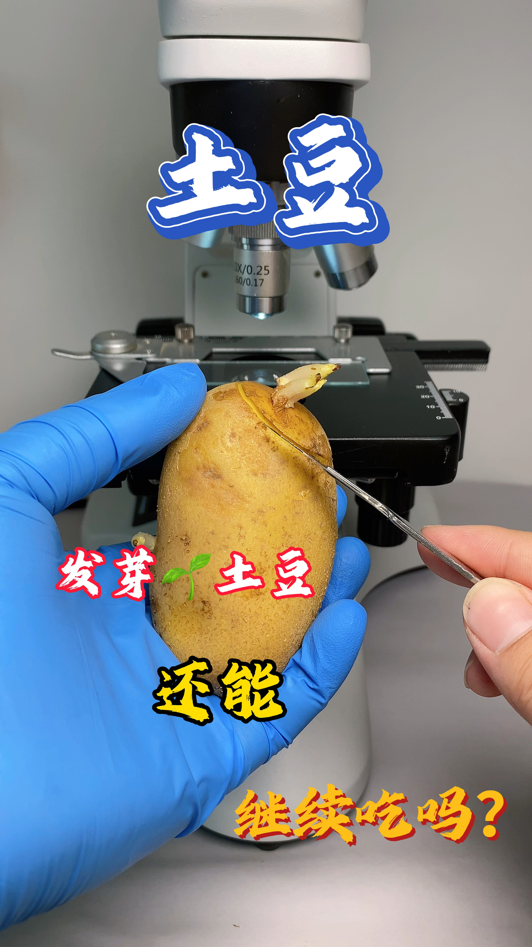 发芽的土豆还能吃吗?