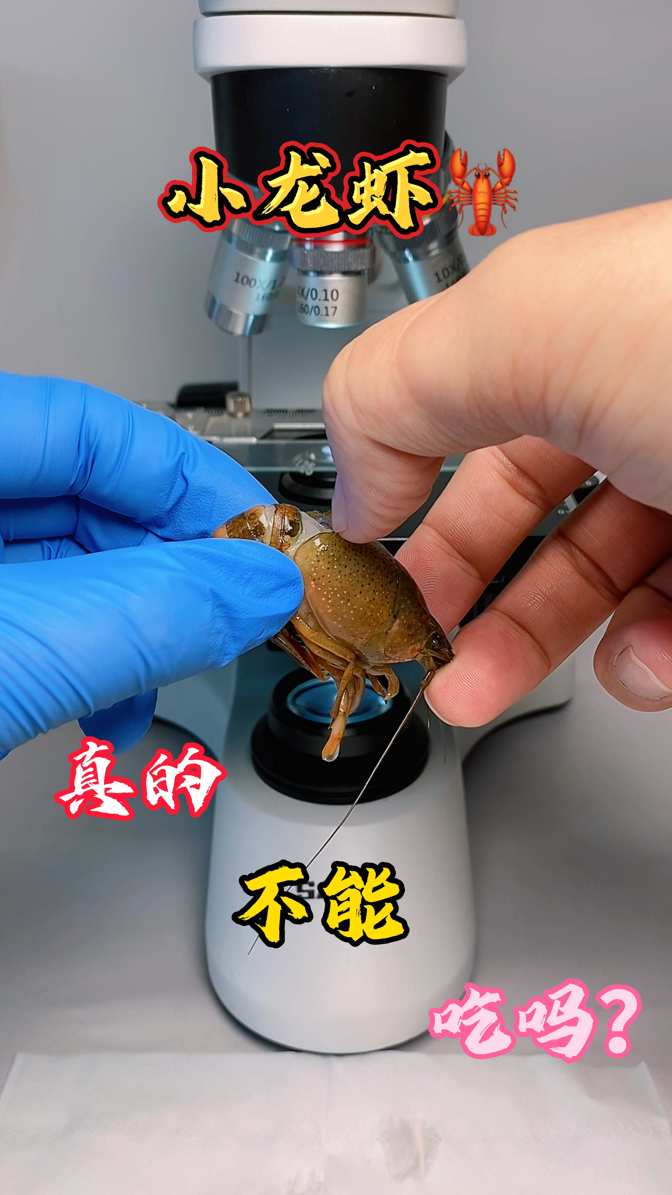小龙虾真的不能吃吗?