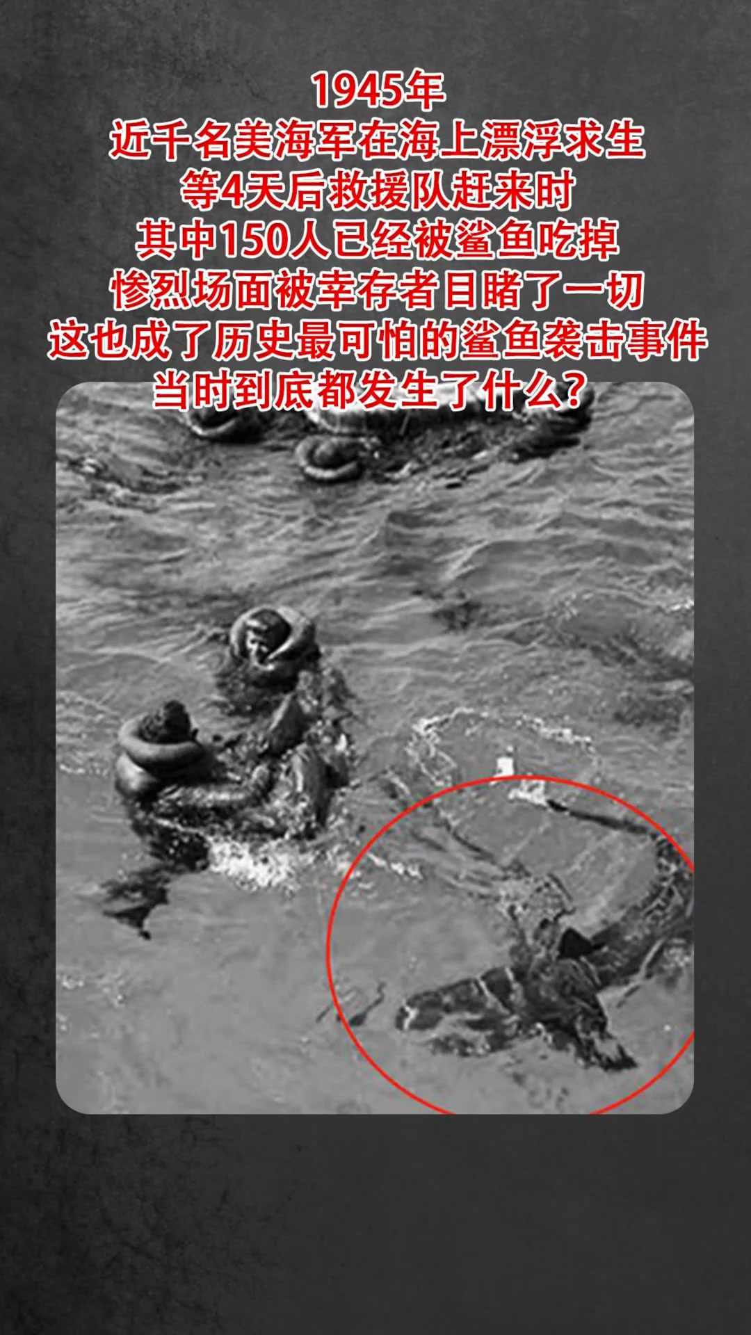 1945年 近千名美海军在海上漂浮求生 等4天后救援队赶来时 其中150人已经被鲨鱼吃掉