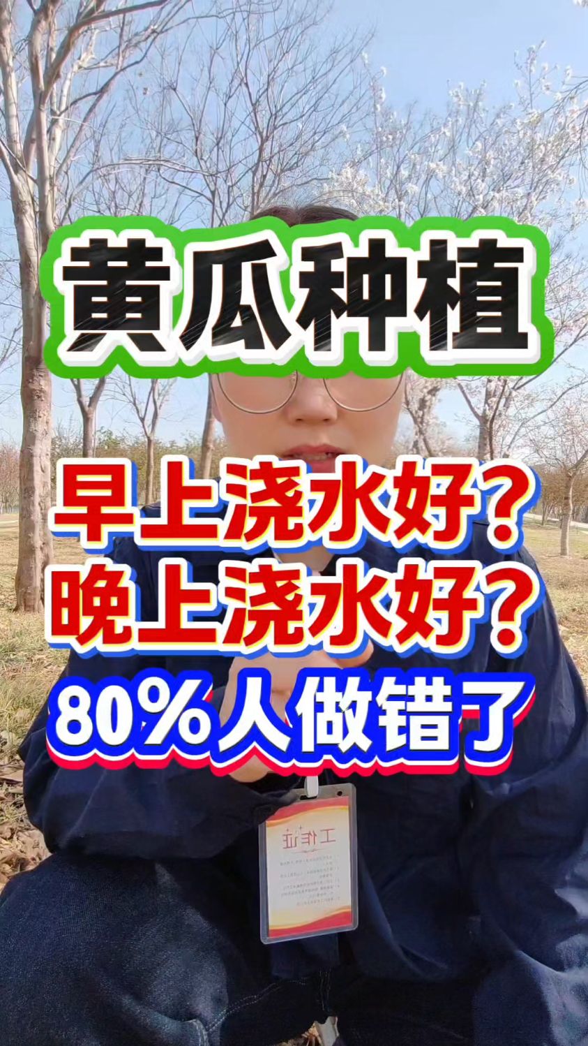 黄瓜是早上浇水好还是晚上浇水好