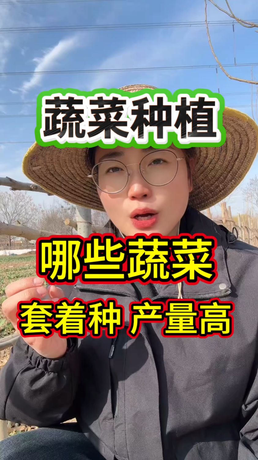 哪些蔬菜可以套着种