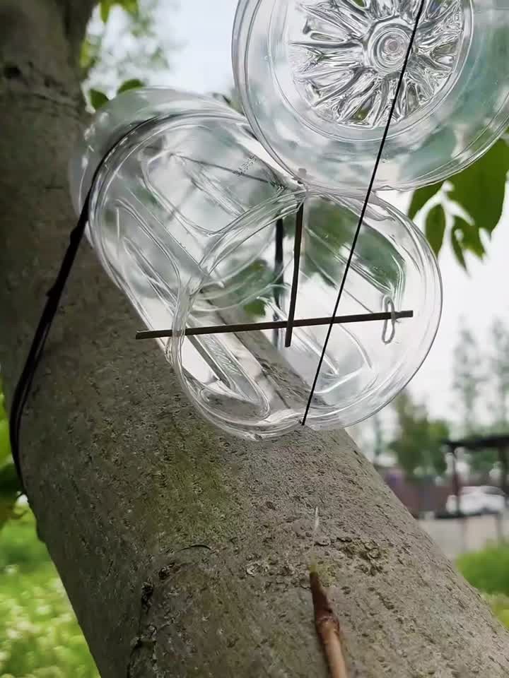 如何用一个废弃的矿泉水瓶快速制作一个抓老鼠神器?