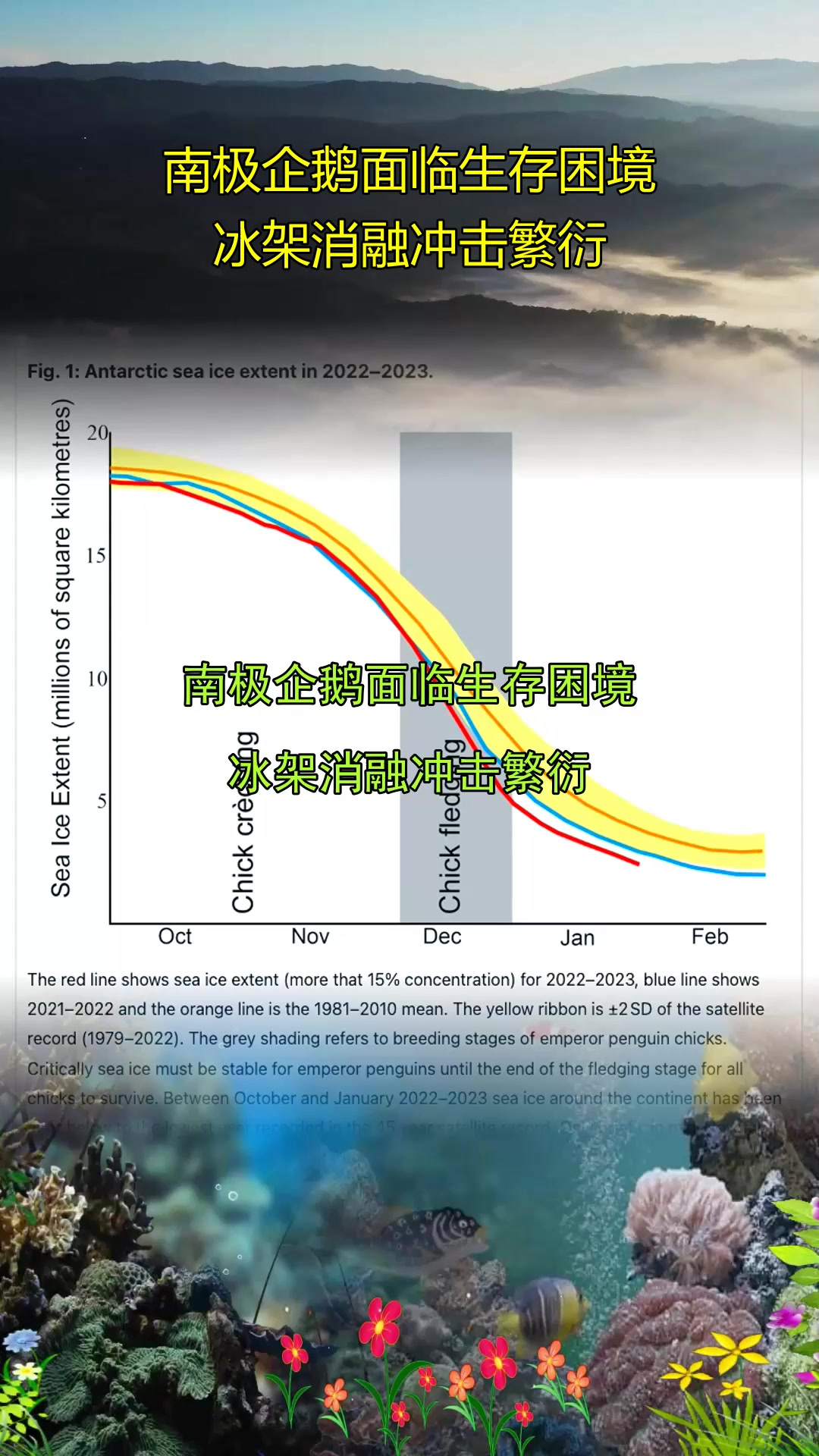 南极企鹅面临生存困境,冰架消融冲击繁衍