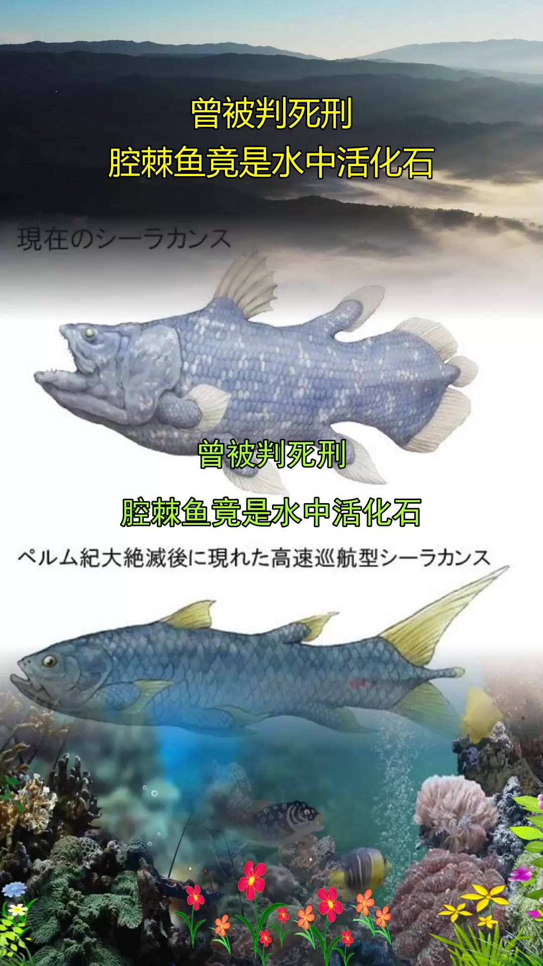 曾被判死刑,腔棘鱼竟是水中活化石