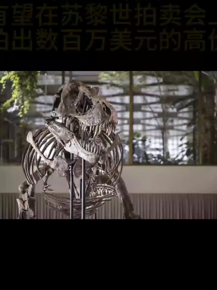 霸王龙骨架有望在苏黎世拍卖会上拍出数百万美元