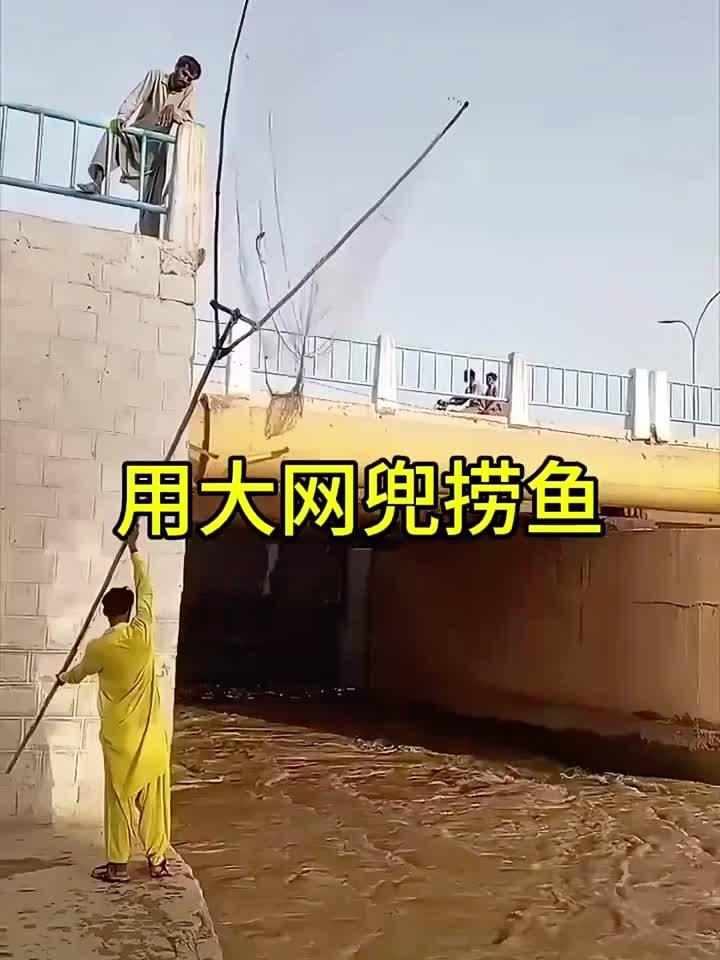 用大网兜捞鱼