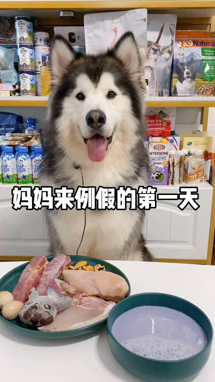 今日不想摆盘 简单粗暴一餐