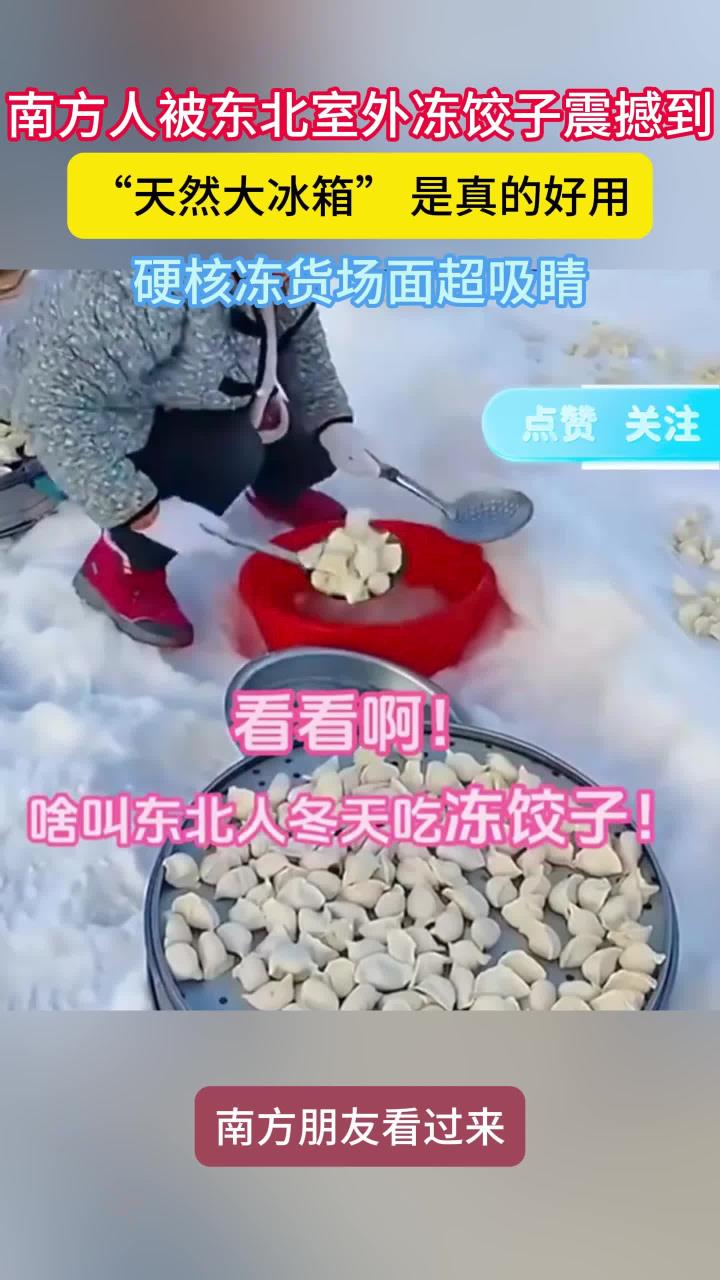 南方人被东北冻饺子现场震撼到了!东北室外大冰箱就是好使
