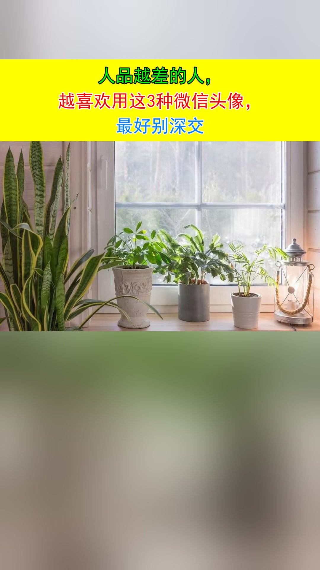 人品越差的人,越喜欢用这3种微信头像,最好别深交