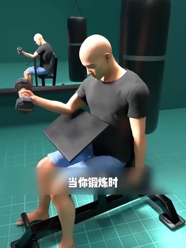 肌肉是怎么生长的?