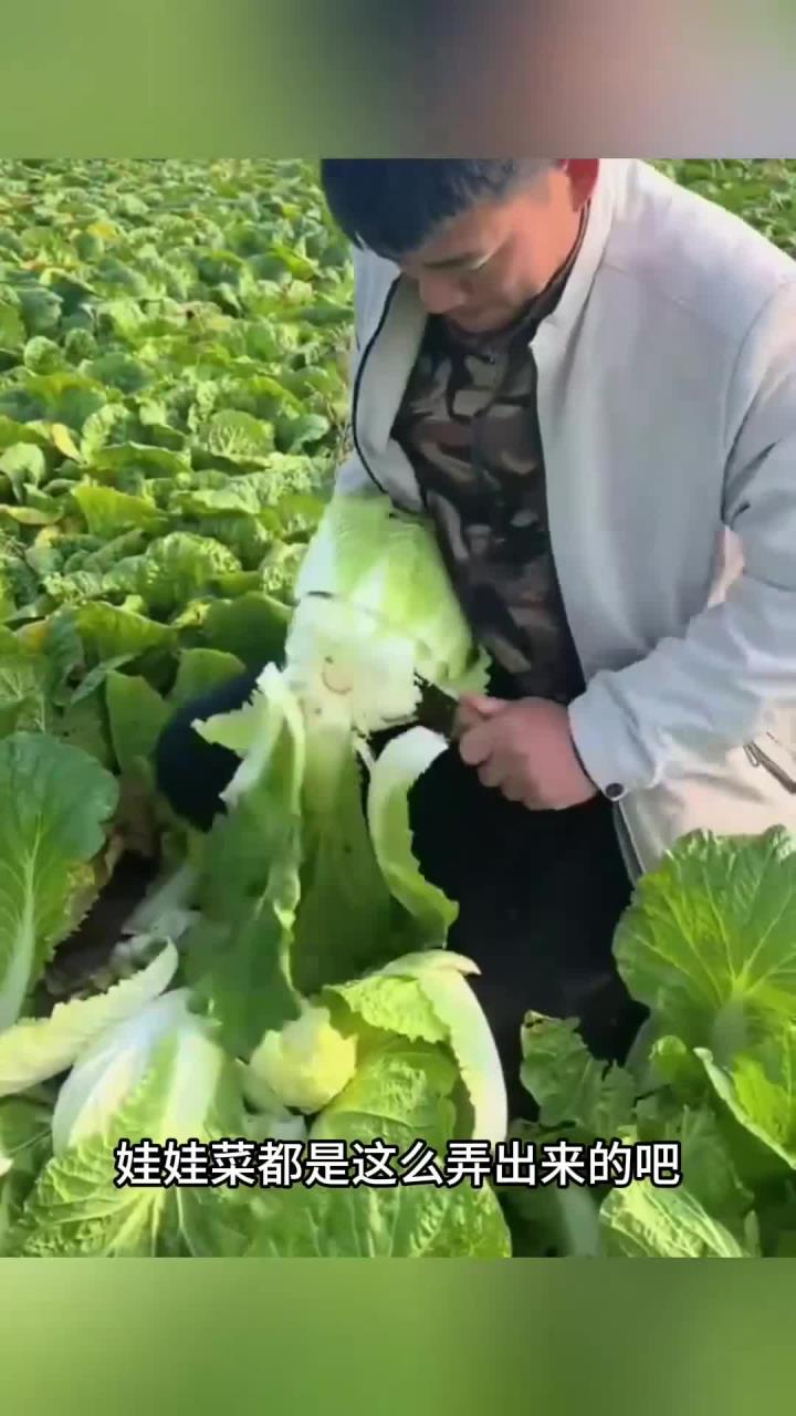 如果我不说你们还不知道