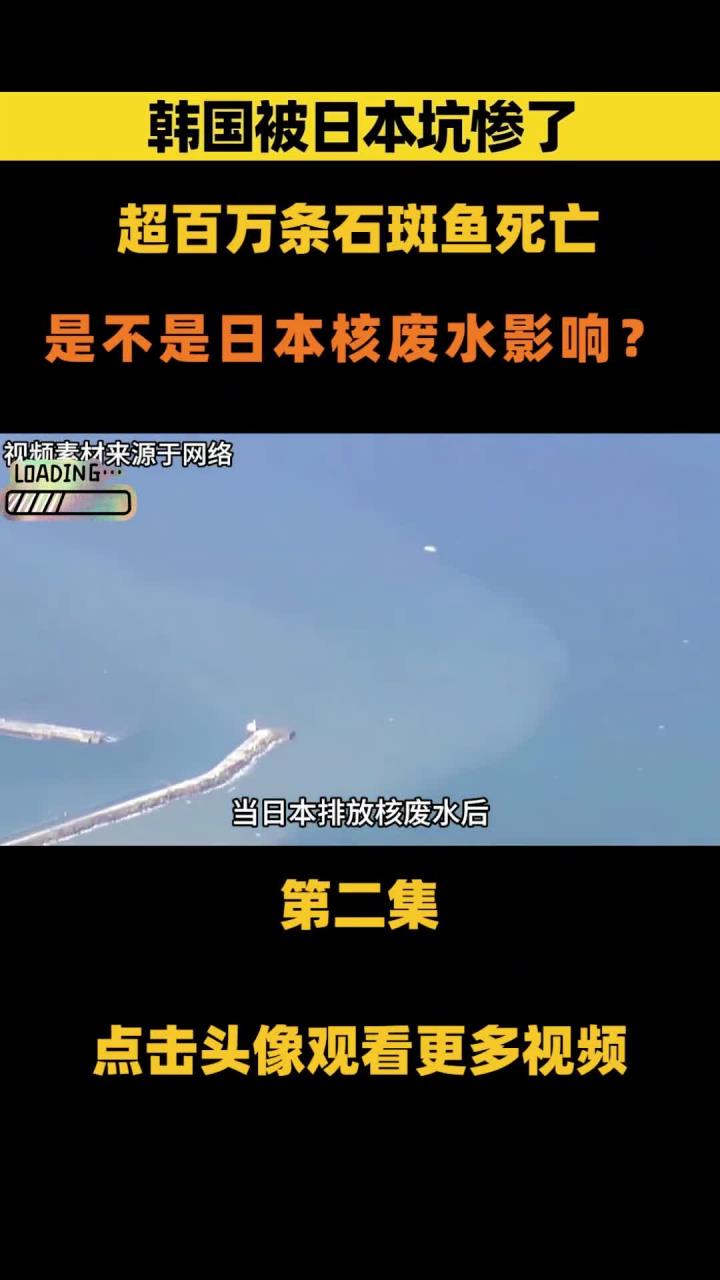 韩国被日本坑惨了,百万条石斑鱼集体死亡,是否与日本排放核废