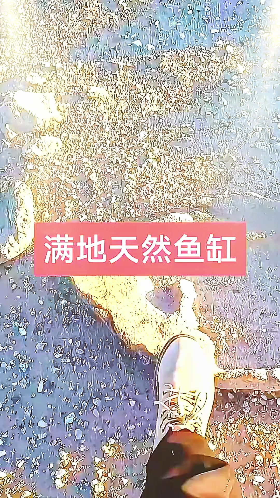 戈壁滩的一道风景线,一块天然鱼缸~