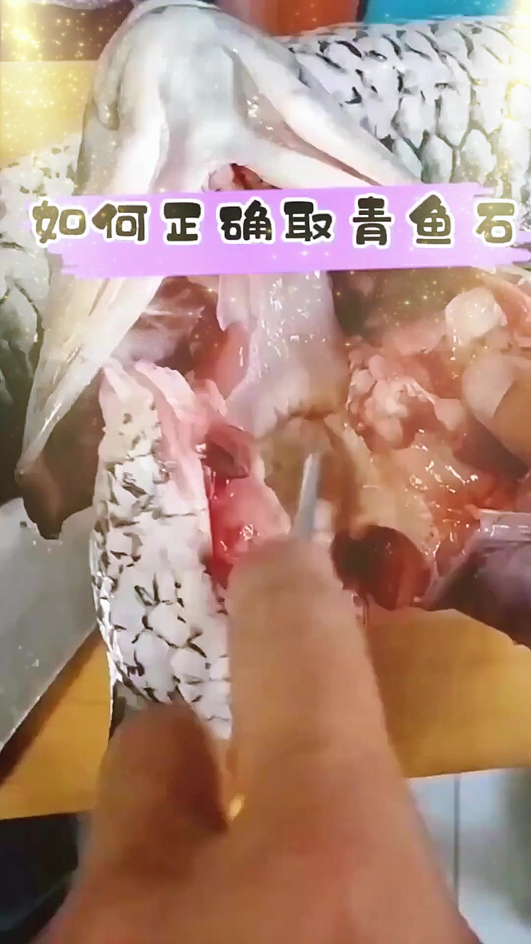 青鱼石的正确取用方法,这个视频教会你