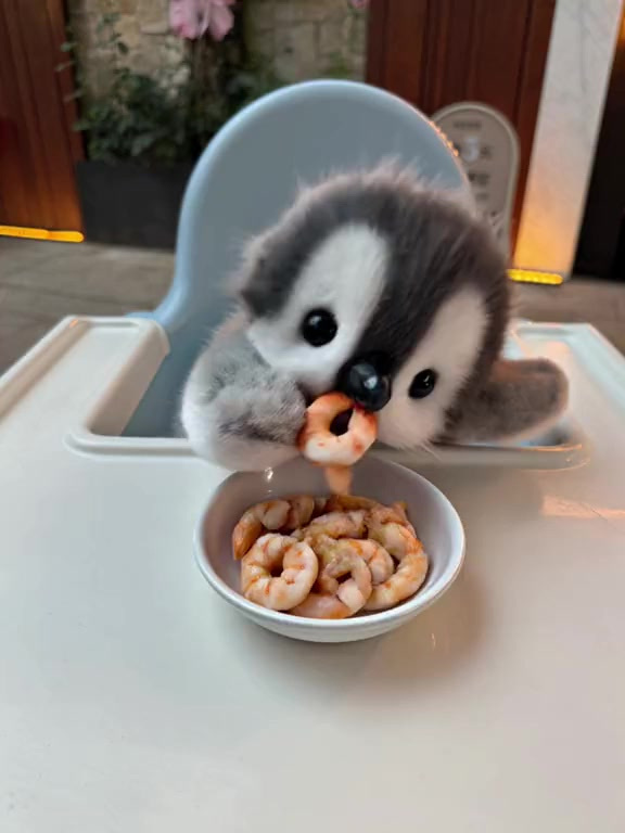 泥嚎,亲手喂小企鹅宝宝吃虾球,吃的好香啊啊 家里养一只Y