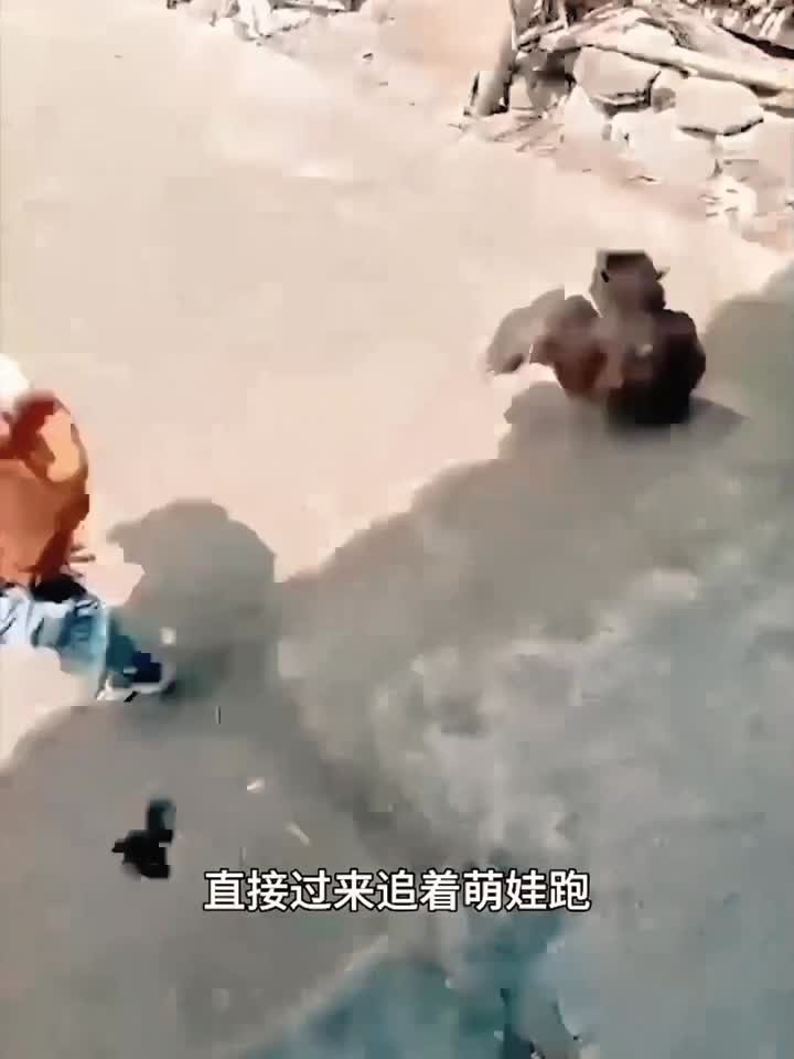萌娃抓小鸡引发老母鸡追逐,吓坏小朋友的幽默瞬间