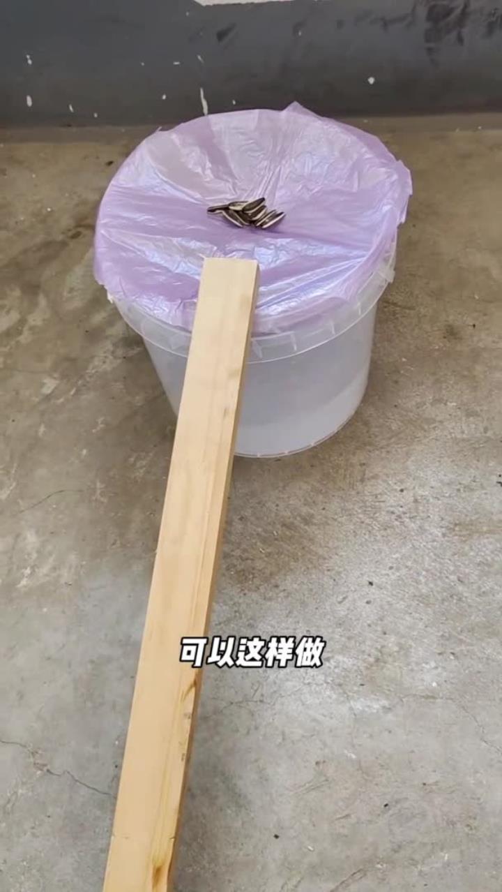 不用夹子不用药,老鼠来一个抓一个,自制抓老鼠神器