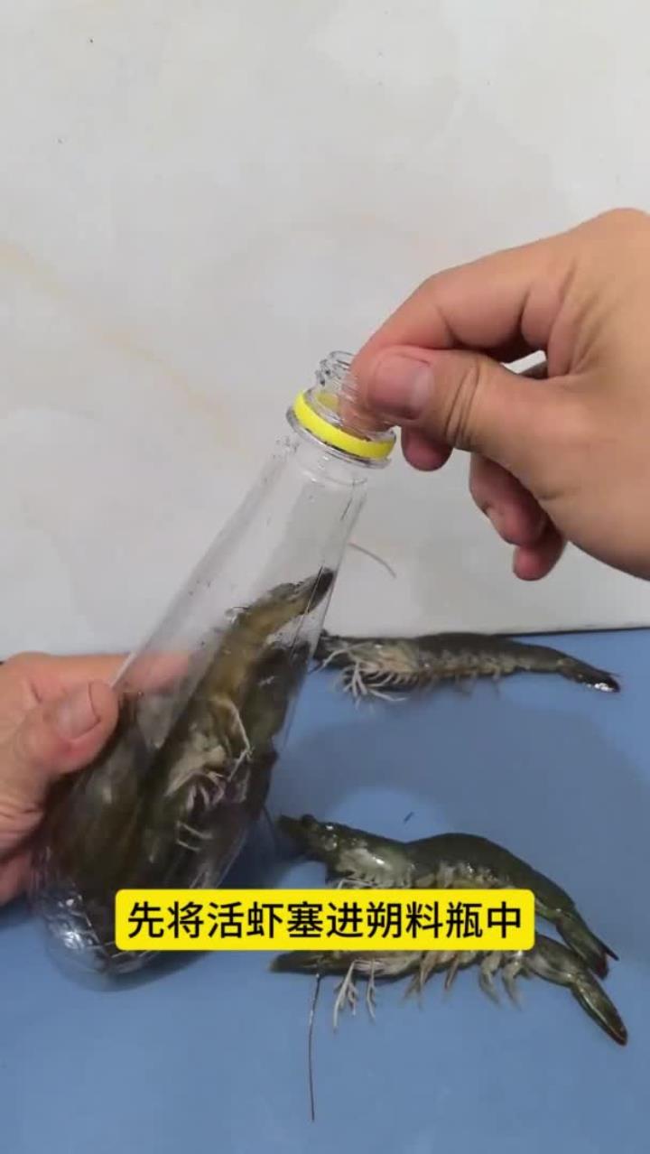 活虾这样保存,3 个月都不坏