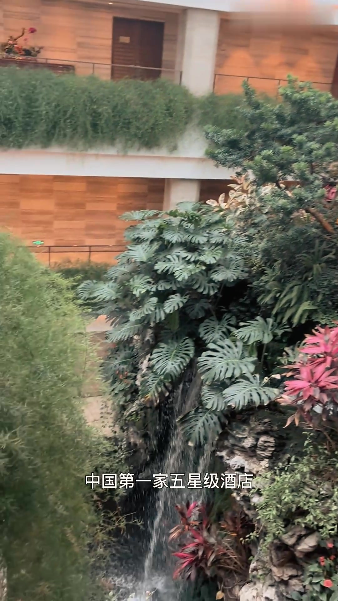 只为这只鸡来广州白天鹅，其他的菜几乎都是浪费！丨玉堂春暖「弘举探店」