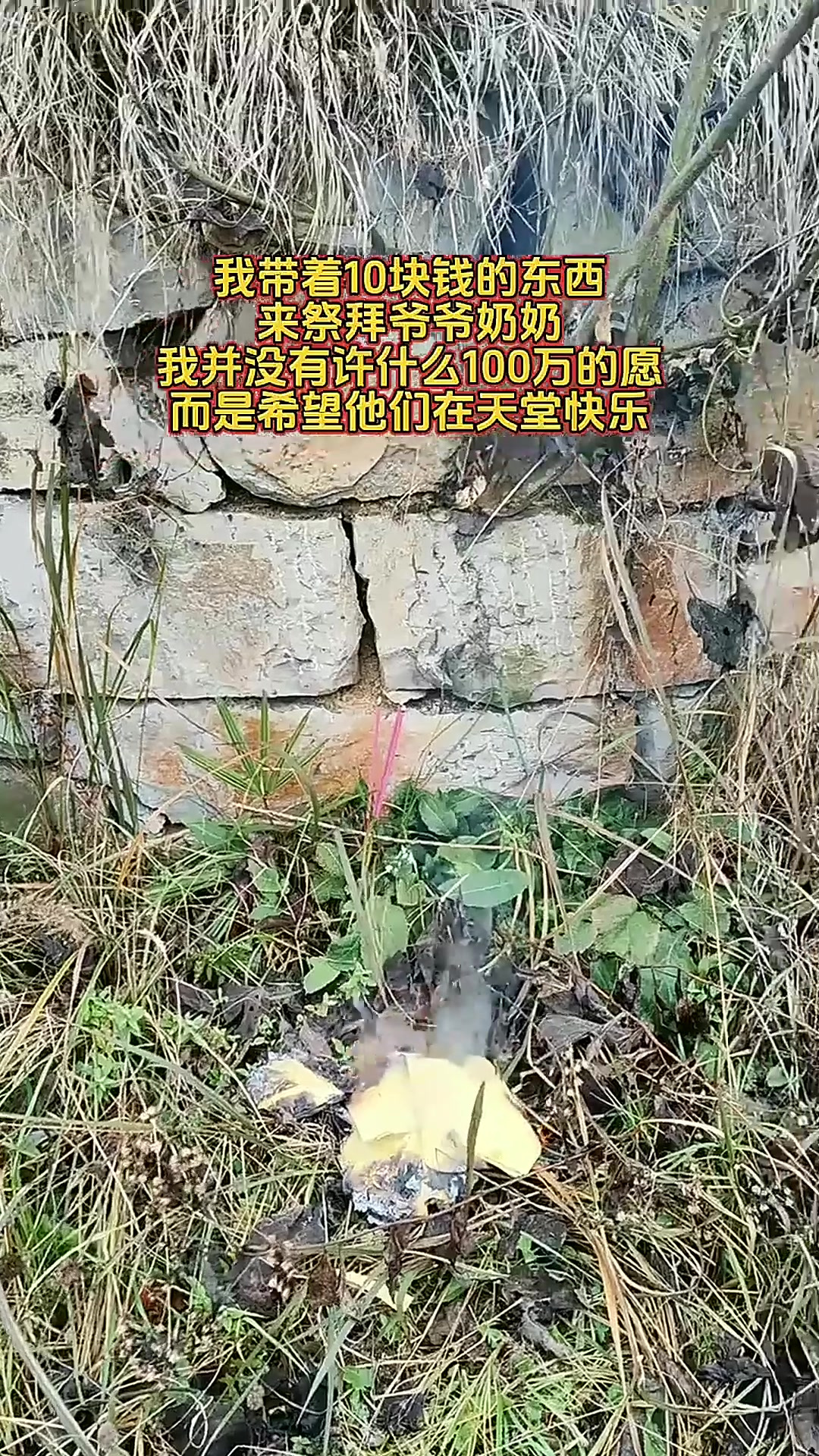 提 10 块祭品祭祖!没许百万无厘头心愿