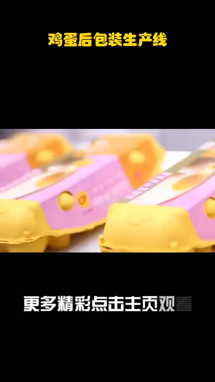鸡蛋后包装生产线