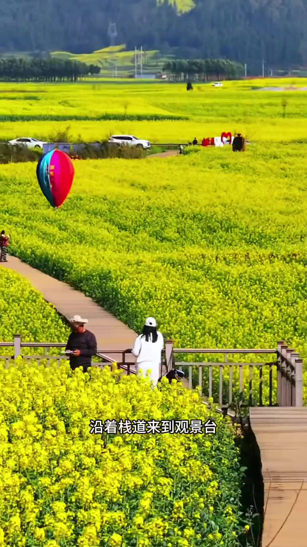 秋季出游,罗平油菜花迎来了盛花期,给大家推荐一个赏花拍照很美