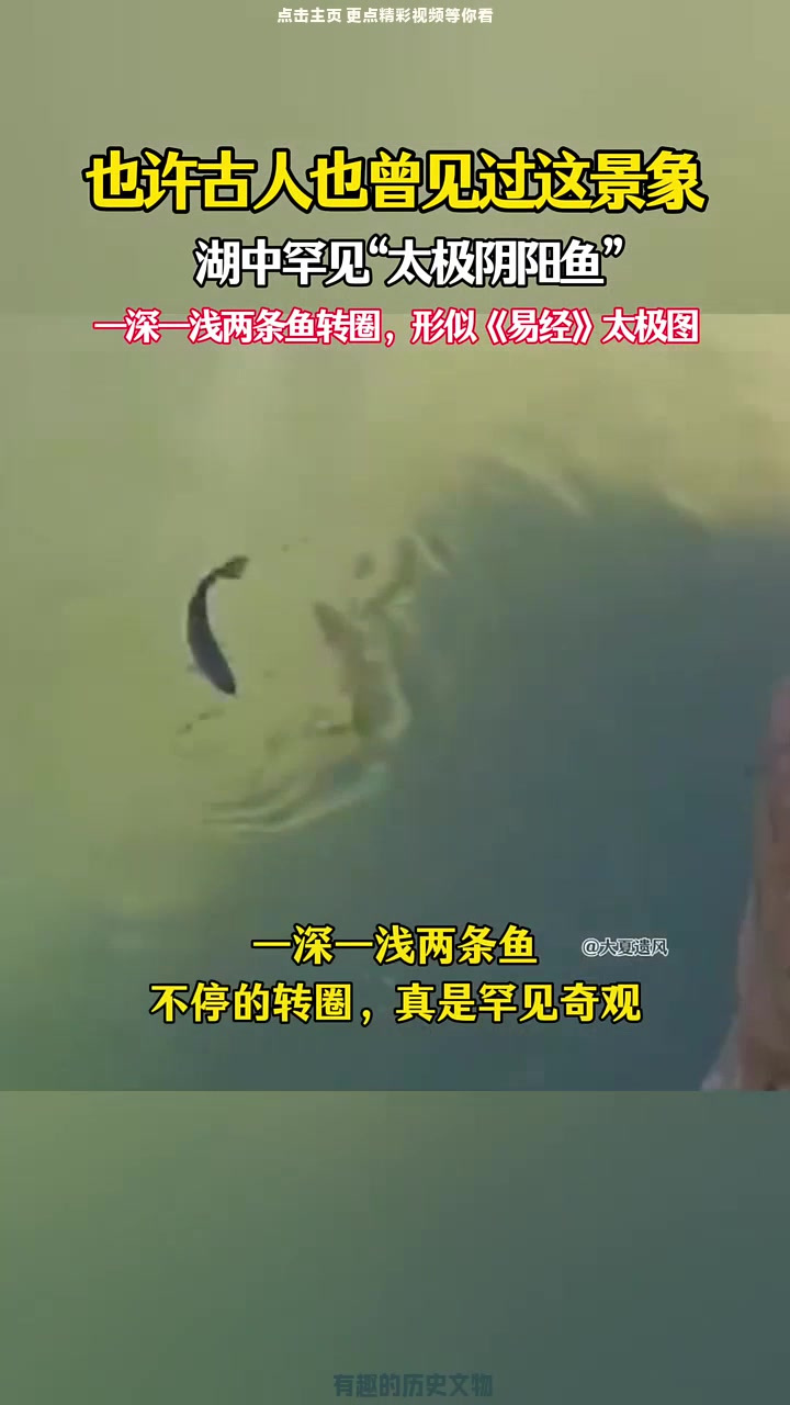 湖中惊现“太极阴阳鱼”奇观,古人是否也曾见过这景象!