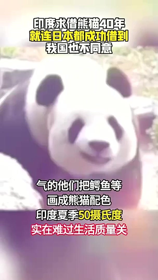 印度求借熊猫40年未果，就连日本都能借到，气的给鳄鱼“染头”