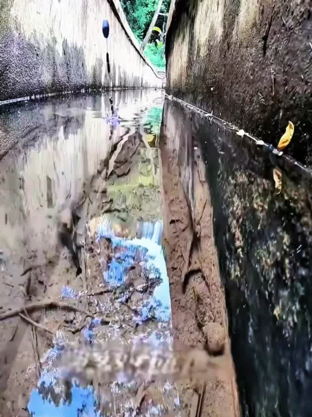 水下摄像头高清实拍溪鱼咬钩