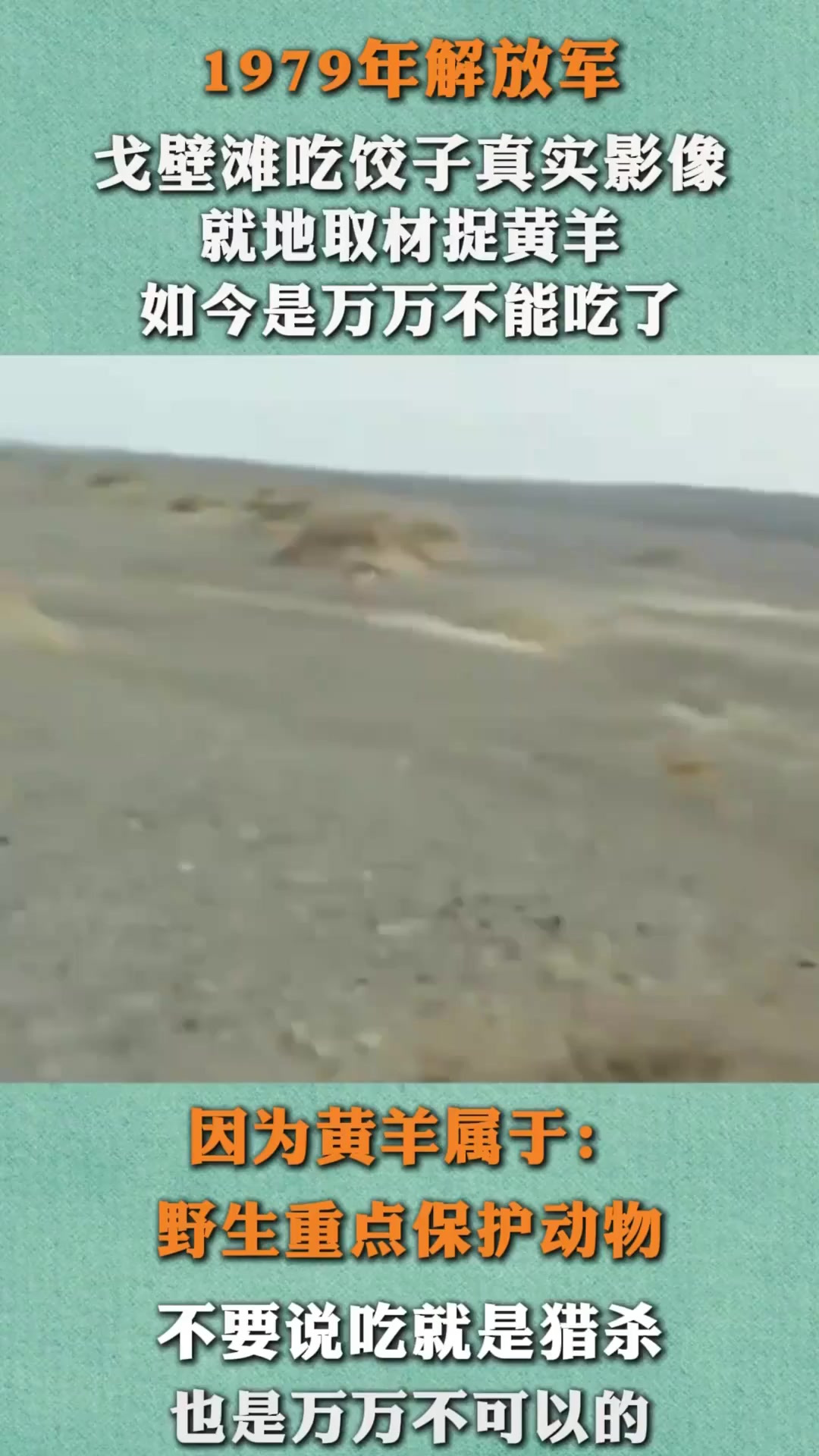 79年解放军吃饺子真实影像,捕捉黄羊当肉馅,如今是万万不能吃了