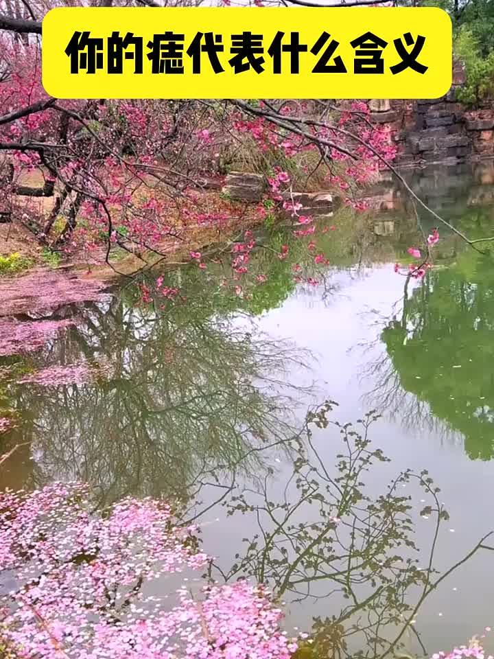 你的痣代表什么含义