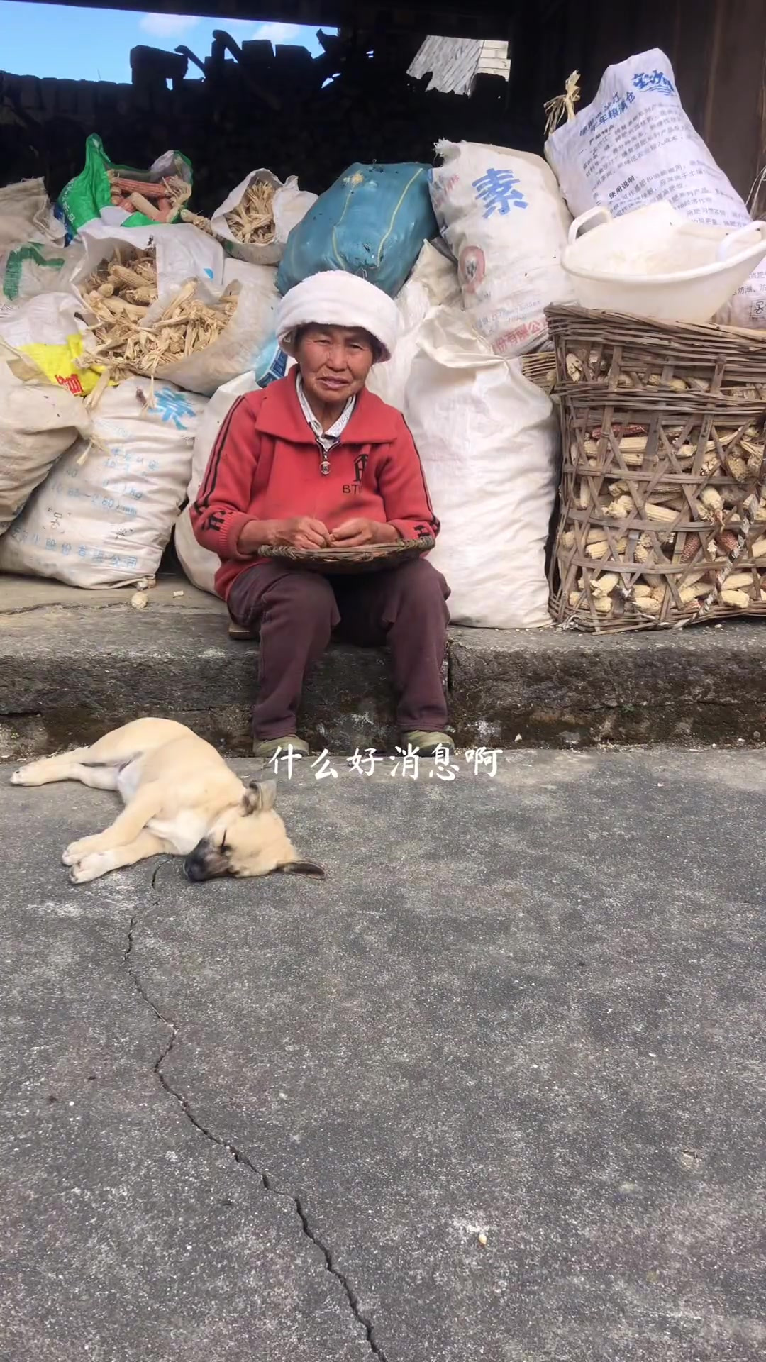 传统腌制的水腌菜,开胃又下饭