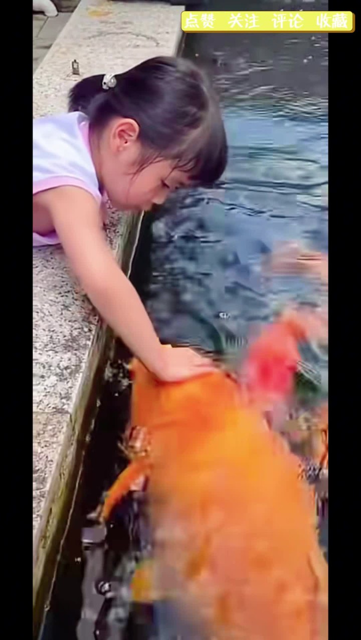 我以前一直以为抱鱼的年画娃娃是使用了夸张的手法