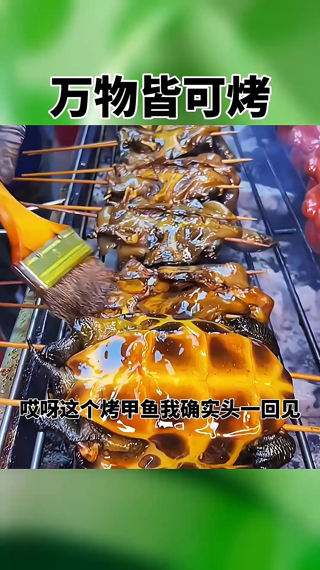 甲鱼也能烤着吃，太奇葩