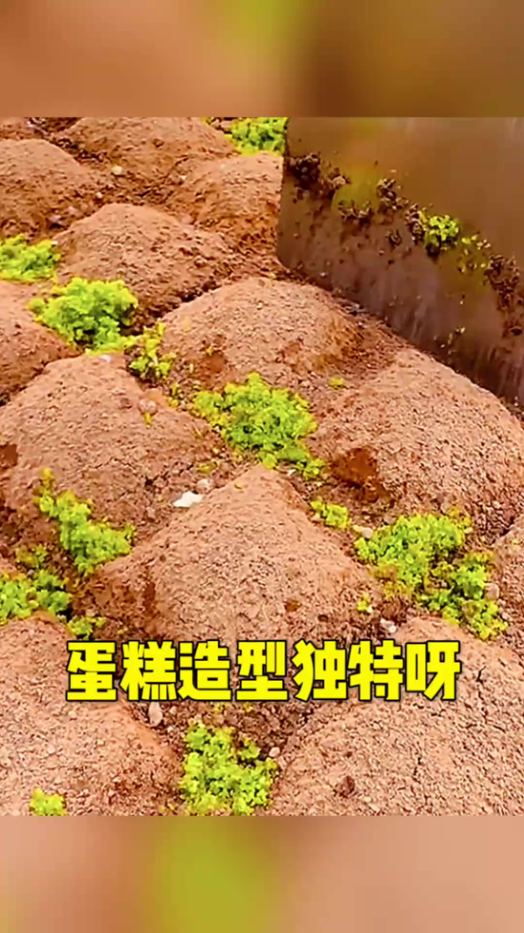 蛋糕造型真是独特