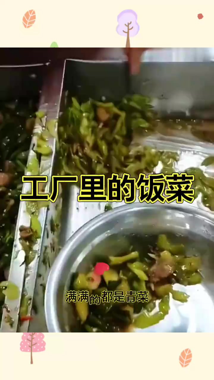 工厂里的饭菜,感觉没菜不香