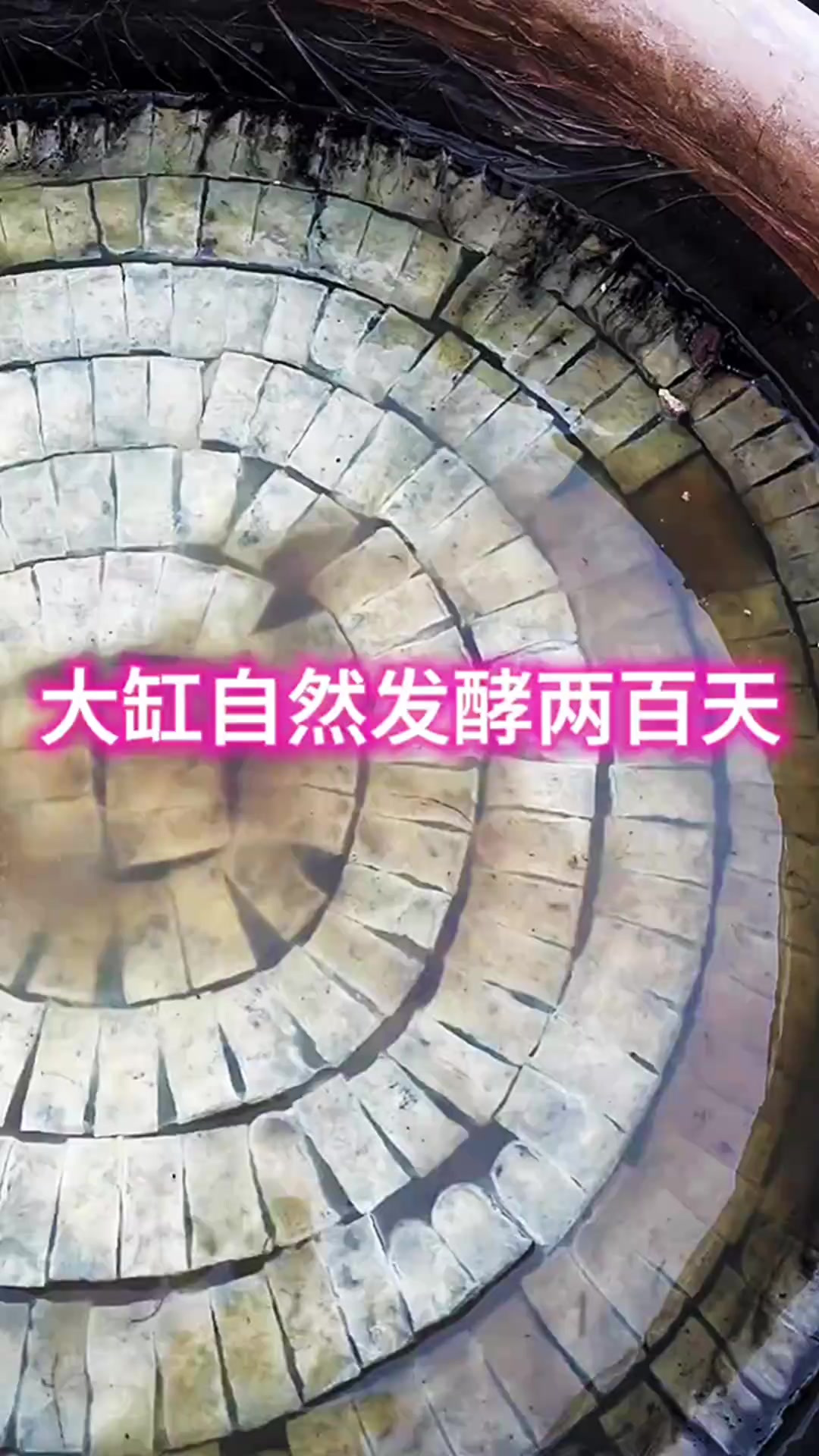 这是大缸腌制老式臭豆腐