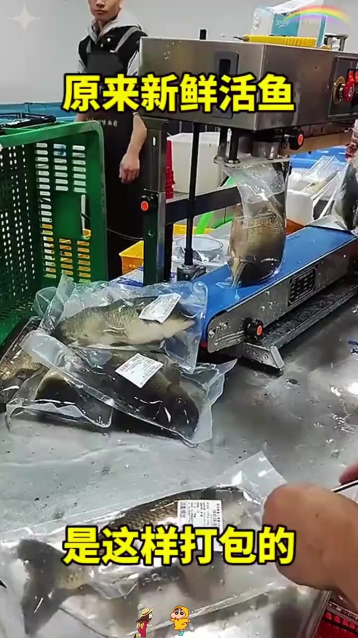 原来新鲜活鱼,是这样打包的